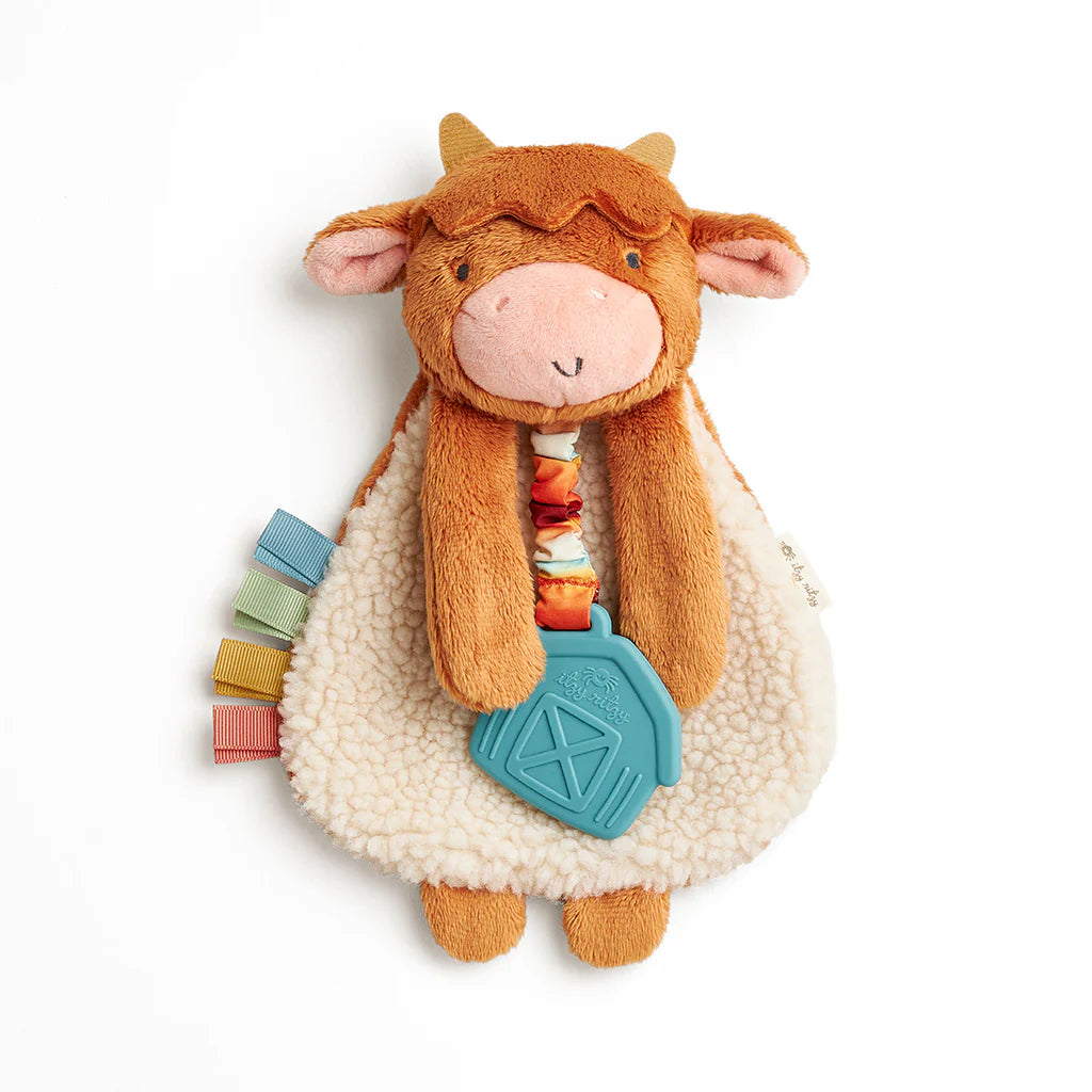 Itzy Lovey - Plush and Teether Toy
