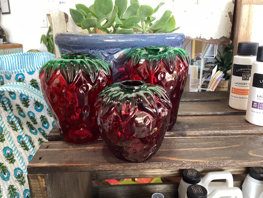 Strawberry Propagation vases